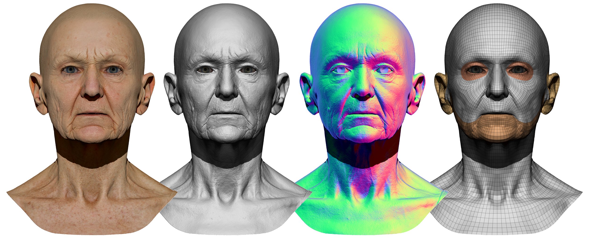 Download Zbrush head model 3D